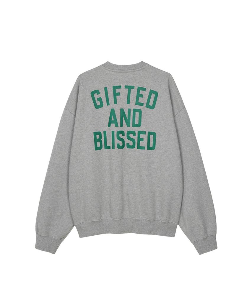 Pienjijeoneol Academia Sweat Shirt Gray
