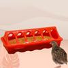 Flip-Top Plastic Bird Feeder Poultry Ground Feeder Pheasant Feeding Bucket Chicken Feed Trough