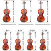 Beginner Violin Fingerboard Position Stickers: Hand Position Labels for Entry-Level Players