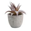 Desktop Ornament Indoor Greenery Desktop Arrangement Stylish Home D cor Versatile Design High Quality Materials