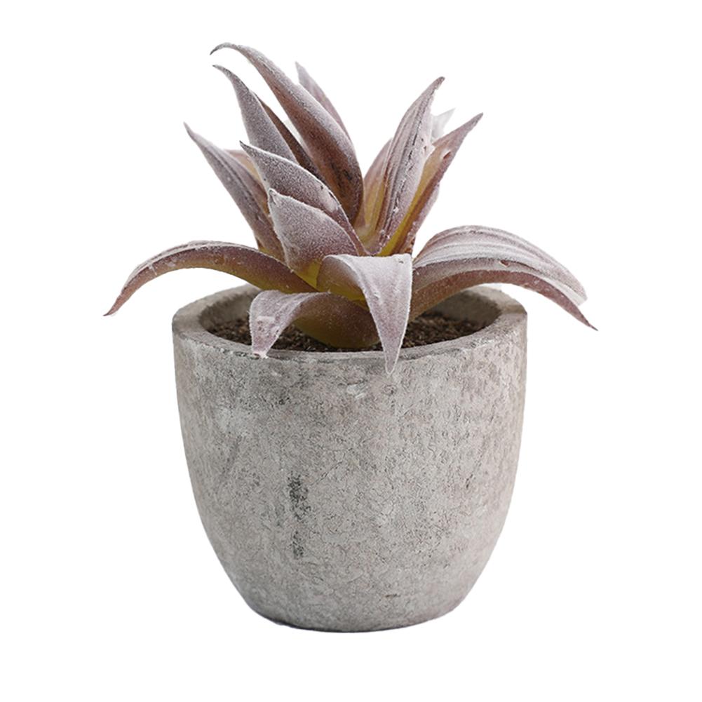 Desktop Ornament Indoor Greenery Desktop Arrangement Stylish Home D cor Versatile Design High Quality Materials