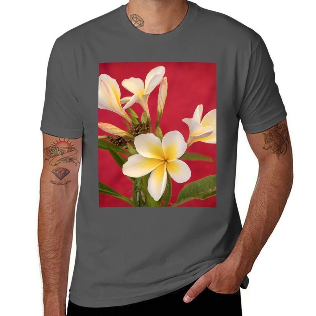 Frangipani Study Tshirt Casual Work Wear Tshirt