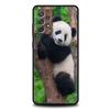 Phone Case For Samsung Galaxy A15 A13 A35 A55 A51 A71 A41 A31 A21S A03S A05 A17 A23 A25 A33 A53 A73 5G A07 4G Cover panda