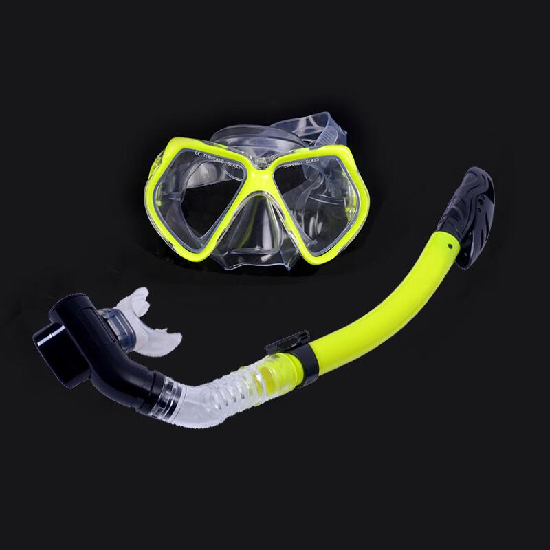 Adult Diving Mask and Snorkel Set