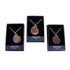 Natural Conch fossil Pendant Necklace Original Ore Mineral Men and Women Jewelry Pendant Spot Colored Snail Slice