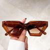 Cat Eye Oversized Sunglasses Gradient for Women Fashion Retro Stylish Trend Brand Design Outdoor Party Shades Eyewear