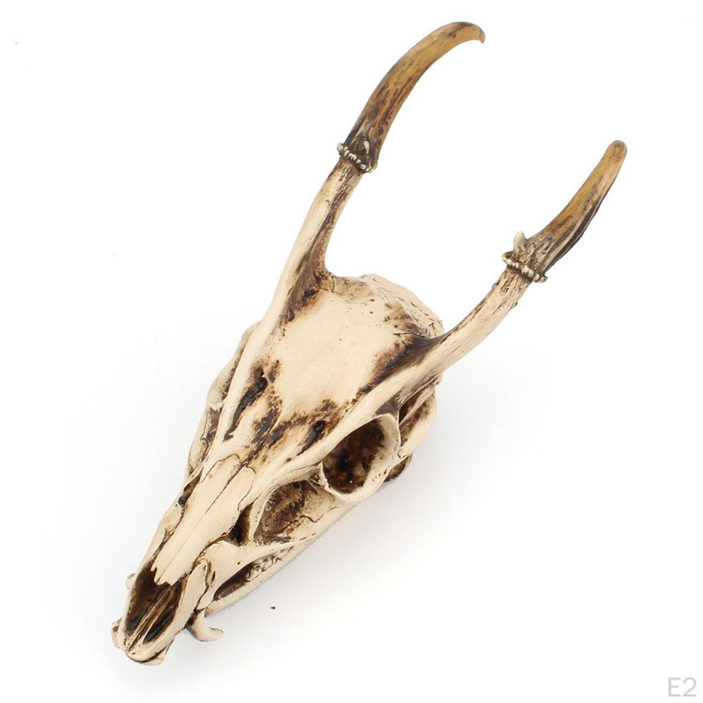 Skull Head Sculpture Model Resin Animal Vintage Style Creative Figurines Viking Gothic for Party,