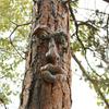 Bark Luminous Tree Face Tree Monster Facial Resin Ornament Easter Outdoor Creative Ornament Decoration