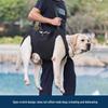 Pet Mobility Support Belt for Elderly or Disabled Cats and Dogs