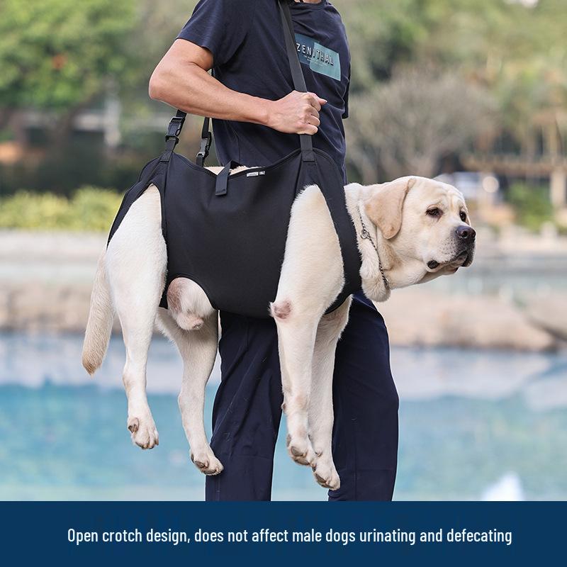 Pet Mobility Support Belt for Elderly or Disabled Cats and Dogs