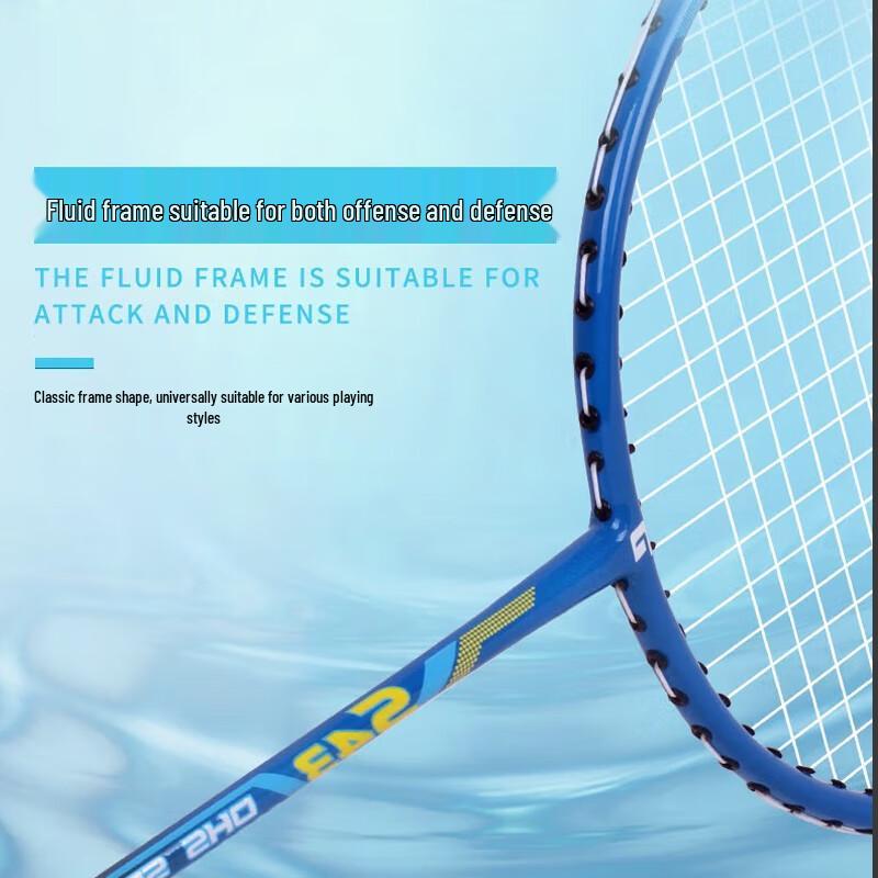 DHS Washable Four-Star Badminton Racket Set