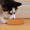 Non Slip Slow Feed Pet Bowl Suction Base Prevents Messy Spills Promotes Healthy Eating Speed for Puppy Kitten Pets