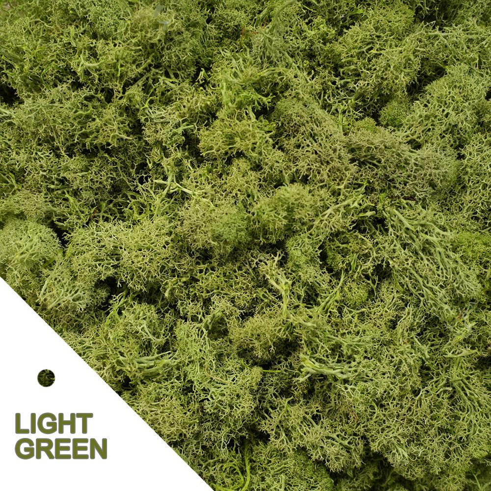 20/40/100g Eternal Life Moss DIY Crafts Grass Artificial Green Plants Home Room Garden Decor Mini Landscape Fake Grass Bonsai