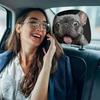 2Pcs Elastic Car Headrest Covers Dust-proof Automobile Pillowcase Auto Headrest Sleeve  Dog Lovers