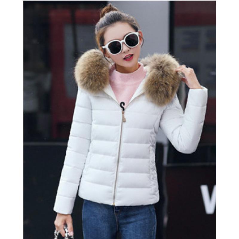 Korean Style Women's Slimming Cotton Down Jacket - Autumn Winter Short Coat