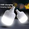 80W Emergency Light Outdoor Camping Supplies Edc Outdoor USB Rechargeable LED Light Bulb Lantern Hiking Sports Entertainment