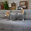 Dog Drying Coats,Super Soft Pet Dog Bathrobe Towel for Small Medium Large Dogs Dressing Gown Adjustable Microfiber Dog Hair