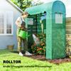 Tomato Greenhouse Foil Greenhouse with Roll-up Door Mesh Window Arched Roof 170 x 68 x 200 cm Green