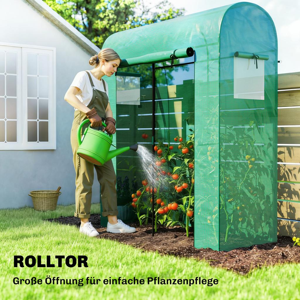 Tomato Greenhouse Foil Greenhouse with Roll-up Door Mesh Window Arched Roof 170 x 68 x 200 cm Green