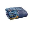 HARRY POTTER Hogwarts Mezunları Ravenclaw Battaniye