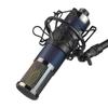 TF22CA Large Diaphragm Condenser Microphone with Sound Card for Live Broadcast and Recording