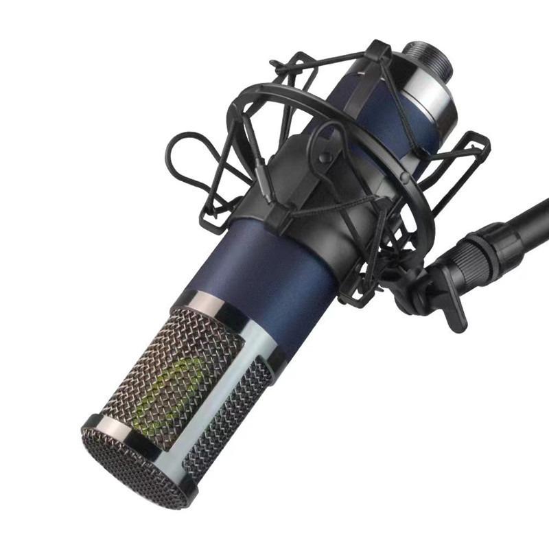 TF22CA Large Diaphragm Condenser Microphone with Sound Card for Live Broadcast and Recording