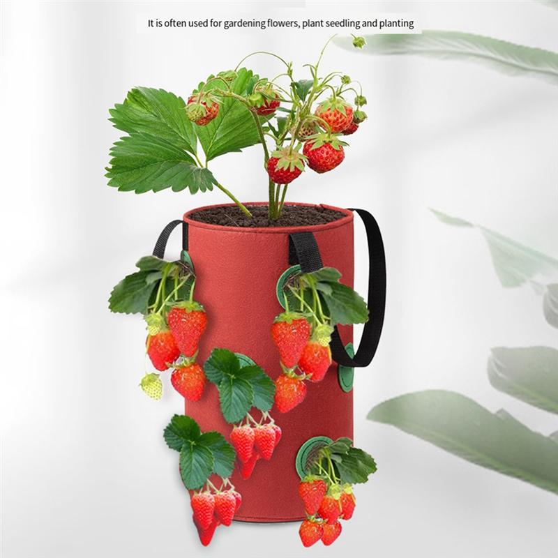 Practical-1Pcs Multi-Function 12 Holes Felt Hanging Tomato Grow Bag Planter Vegetable Flower Plant Grow Bags Garden Plant Pot, D