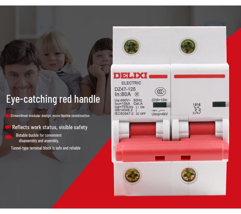 DELIXI DZ47-125 100A/125A Type D Miniature Circuit Breaker for High Current