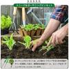 Gardening Tweezers, Weed Puller, 1-Piece Set, Long Tweezers for Succulents, Manual Weeding, Long Silicone Tweezers, Lightweight, Portable, Multi-Funct