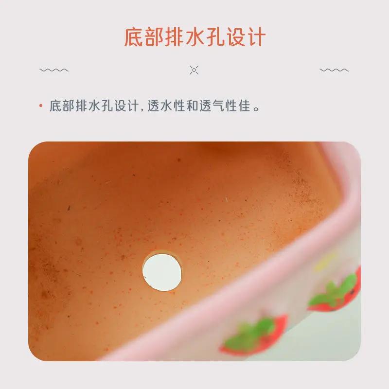 New Creative Cartoon Flowerpot Succulent Pot  Plant Relief Fruit Flowerpot Ceramic Plant Pot Cute Flower Pot