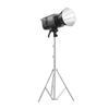 Godox LE200Bi Bi-Color LED Video Light Kit