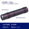 GENTOS Flashlight Small LED Light AAA 80 Lumens SNM-H41D Handy Light Flashlight