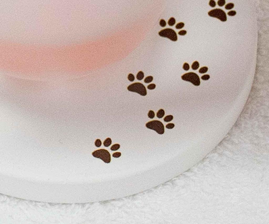 Diatomaceous Earth Cat Set of 4 Coasters, Design,