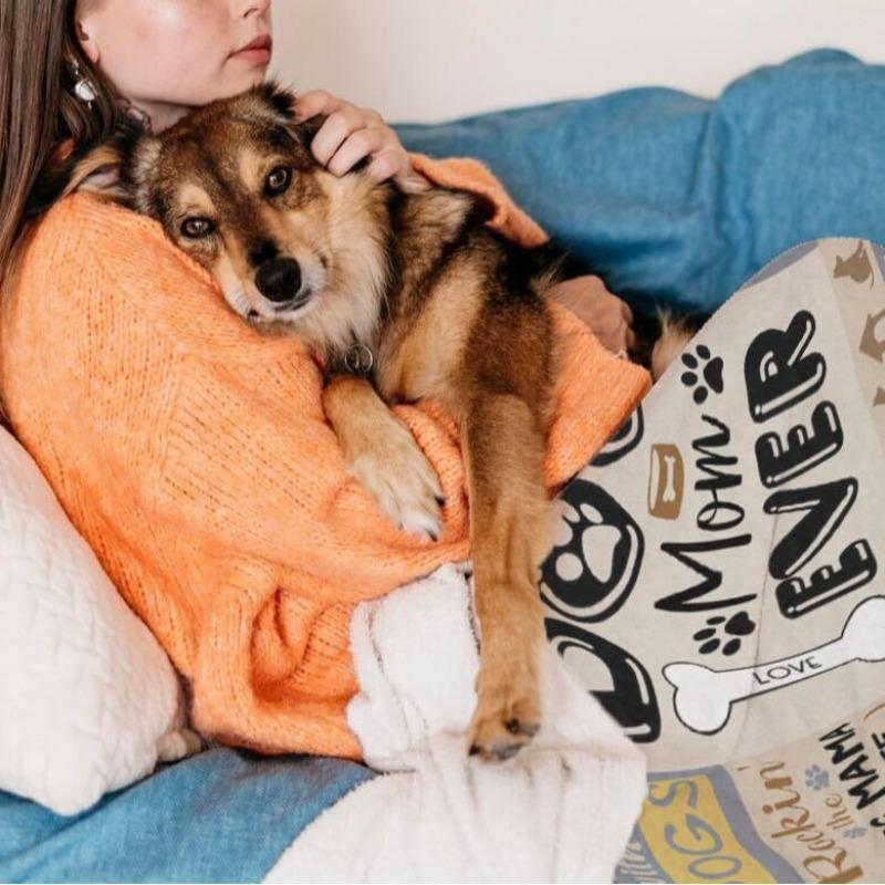 Dog Theme Digital-printed Polyester Bedroom Velvet Flannel Soft Sofa Cover Blanket Fleece Soft Sofa Cover Blankets for Beds