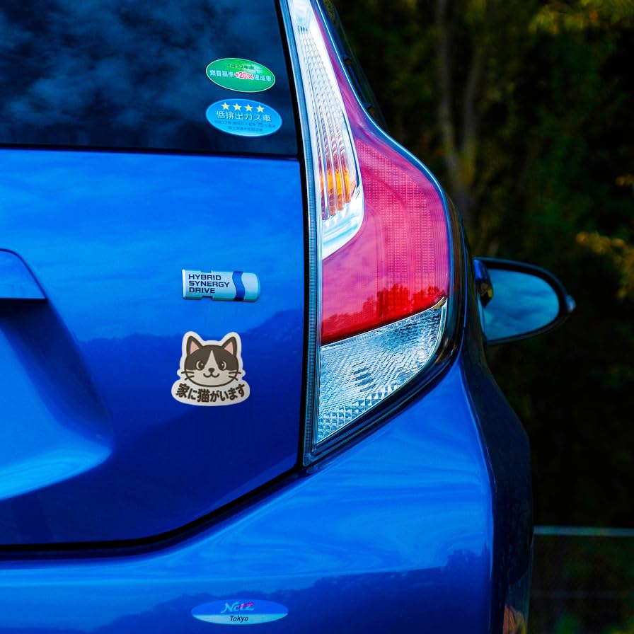 Hummingbird Cat Cat Cat at Home Magnetic Sticker Weather Resistant Resistant 3.5 inches (9 cm)