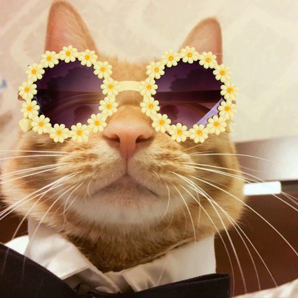 

для вечеринок фото реквизит аксессуары для волос домашних животных уход за собаками шпилька повязка на голову для собак солнцезащитные очки для собак синий