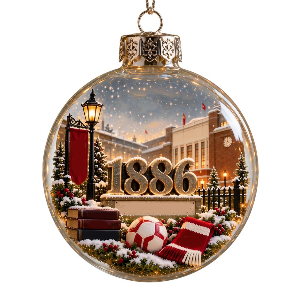 Christmas Tree Decoration Hanging Clear Plastic Ball Ornament for Holiday and Party Decor