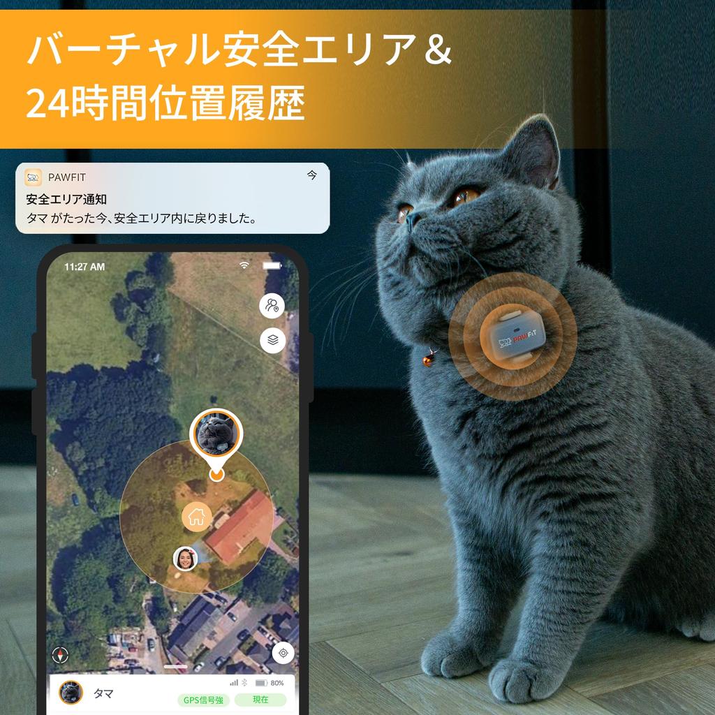 Pawfit Lite 4G GPS Tracker για Γάτες σχεδιασμός παρακολούθησης Παρακολούθηση δραστηριότητας Ιστορικό τοποθεσιών Απεριόριστη εμβέλεια Κολάρο ασφαλείας περιλαμβάνεται Ανθρακί Γκρι