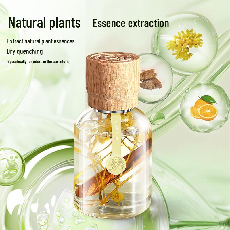 WITCEMEY Car Aroma Diffuser & Air Freshener