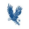 Herbal Temporary Tattoo 11x18cm Eagle Design Waterproof Transfer Body Art Decal Suitable for Skin Application and Safe Removal