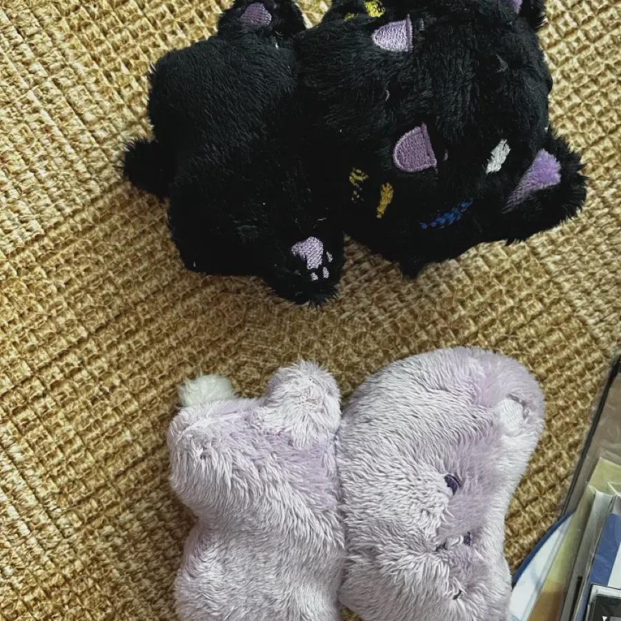 Monsta X All In Bacteria, Immortal Doll Batch 