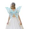 Fairy Wings Transparent Fairy Wings Costume for Women, Butterfly Wings Dress Up Accessories