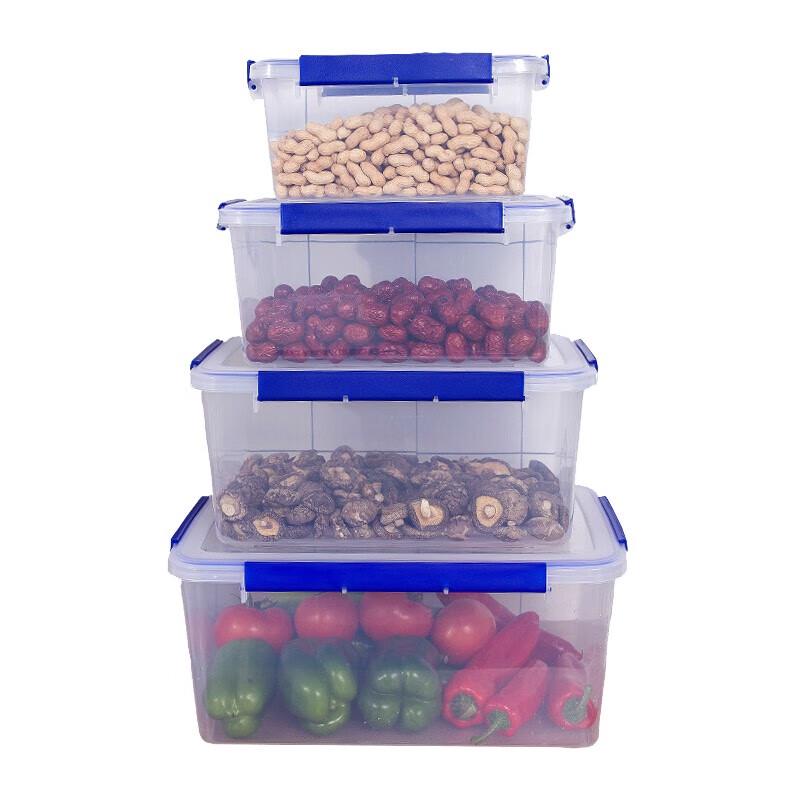 Lanshi Transparent Rectangular Food Storage Container