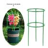 Plant Support Pile Half Round Climbing Vines Stake Bonsai Fixing Rod Garden Plant Stake Holder Flower Ring Support Rack