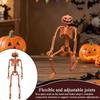 Skeleton Halloween Decoration Halloween Full Body Skeleton Sculpture 2.95Ft Posable Joints Realistic Human Bones For Indoor