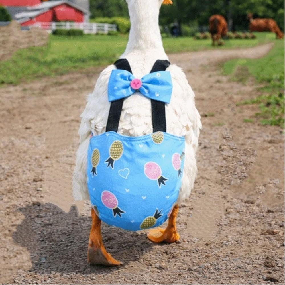 Adjustable Chicken Physiological Pants Elastic Band Poultry Nappy Poultry Costume  Pet Chicken