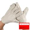 Cotton Canvas Work & Welding Gloves
