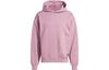 Sweatshirts Men's Purple Hooded Moderate Regular IL2314
