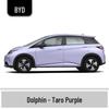 BYD Qin Car Touch-Up Paint Pen - Vehicle-Specific, Waterproof, Anti-Abrasion, Seal, Seagull, Destroyer, Frigate-Compatible.