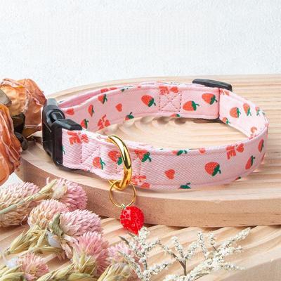 Köpek – Köpek Tasmaları ve Tasma Kayışları
